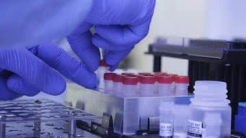 Josué Damacena (IOC/Fiocruz)