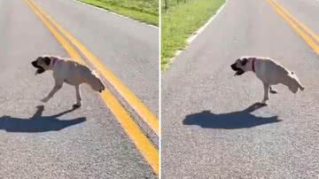 Reprodução/Redes Sociais