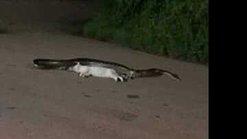 Reprodução/Redes Sociais