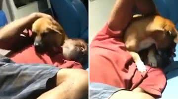 Reprodução/Redes Sociais