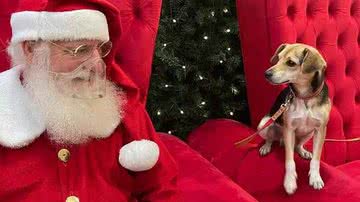 Divulgação/Shopping Del Rey