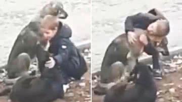 Reprodução/Redes Sociais