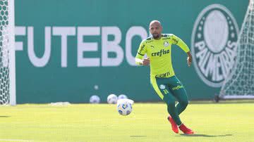Cesar Greco / Ag. Palmeiras