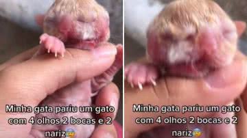 Reprodução/Redes Sociais