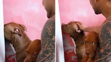 Reprodução/Redes Sociais