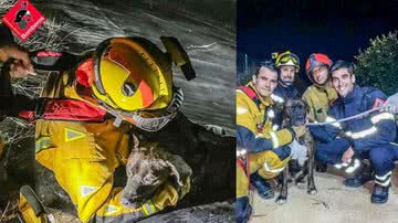 Reprodução/Información