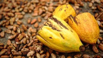 Arquivo/Agência Brasil