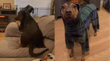 Reprodução/Redes Sociais