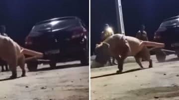 Reprodução/Redes Sociais