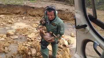 Divulgação/Bombeiros