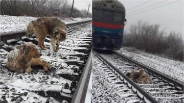 Reprodução/Facebook