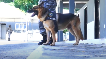 Reprodução/Youtube