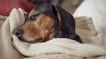 Reprodução/ Freepik