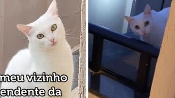 Reprodução/Redes Sociais