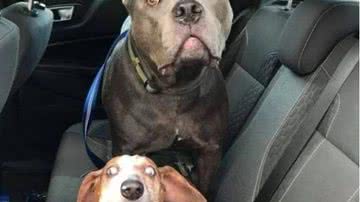 Reprodução  // Instagram