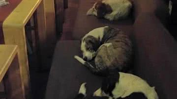 Reprodução/Redes Sociais