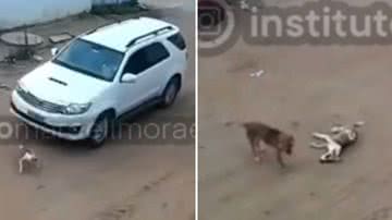 Reprodução/Redes Sociais