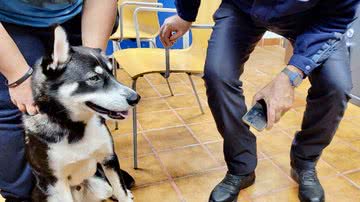 Reprodução/Redes Sociais