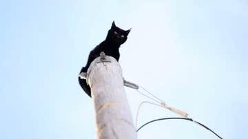 Reprodução/Sky News