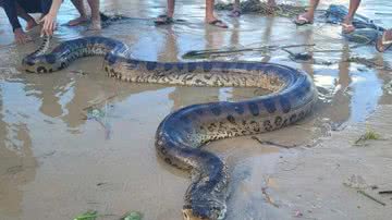 Reprodução/ Itacaré Urgente