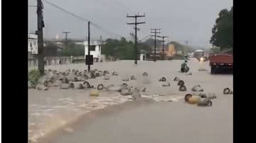 Reprodução/Twitter