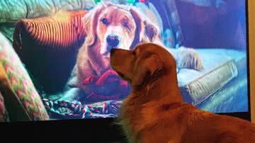 Reprodução/ Instagram