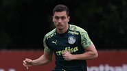 Atacante Luan Silva - Cesar Greco/Ag. Palmeiras