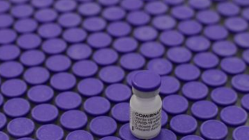 Lotes da vacina Pfizer chegam à Bahia - Divulgação/Sesab