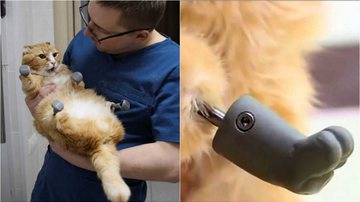 Vesti.ru/East2west News