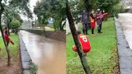 Reprodução/Redes Sociais