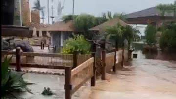 Divulgação Leitor BNews