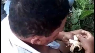 Reprodução/Redes Sociais