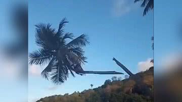 Reprodução/Twitter