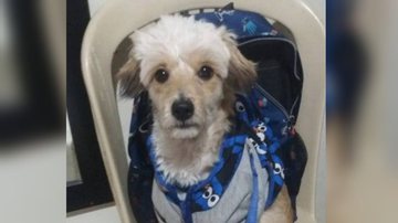 Reprodução/Redes Sociais