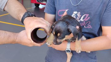 Divulgação/Corpo de Bombeiros de Londrina