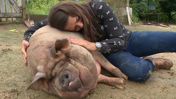 Reprodução/TV Gazeta