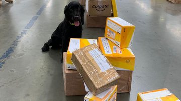 Divulgação/Polícia Civil