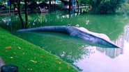 Parque Lagoa dos Dinossauros é fechado ao público após as fortes chuvas em Salvador