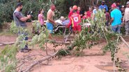 Divulgação SSP