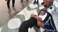Divulgação