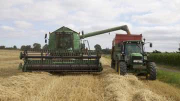 Divulgação / André SAAD - Pixabay