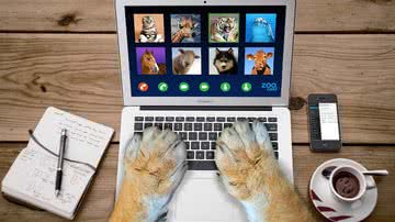 Brian Cragun por Pixabay