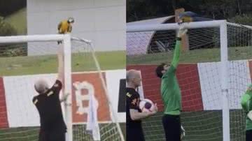 Reprodução/TikTok @talitaranielly