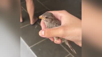 Reprodução/TikTok @muzyv_