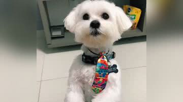 Reprodução/TikTok @thaistomaz1