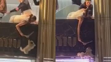 Reprodução/TikTok @tatortotsandmoonshine