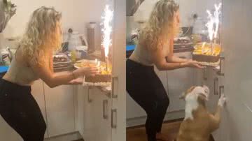 Reprodução/TikTok @chelsey3022