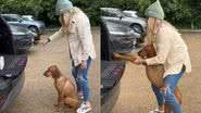 Reprodução/TikTok @lucyhawkins4