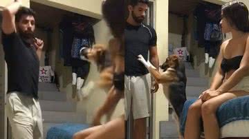 Reprodução/TikTok @robertferreira71