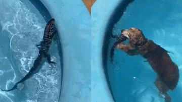 Reprodução/TikTok @aylaphilippsen